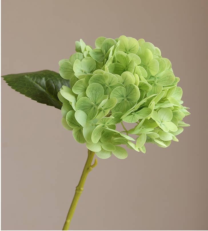 12.5"Real Touch lifelike Hydrangea-6”bloom: Ivory