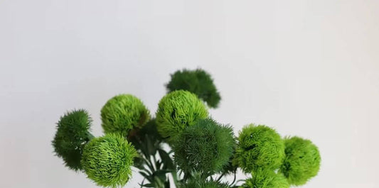 21.5" Realistic Faux Dianthus Green Ball Fresh Green stem: Fresh Green