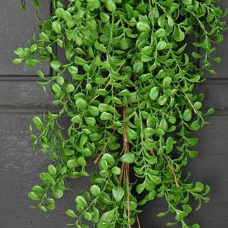 78903 - 28in Evergreen Boxwood Teardrop