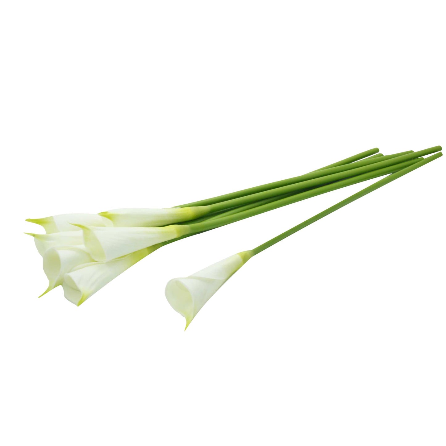 24"Long Premium Lifelike Real Touch Artificial Calla lily: Soft white