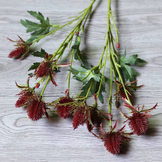 26" Artificial Thistle Eryngium Sea Holly-10Flowers : Wine Burgundy