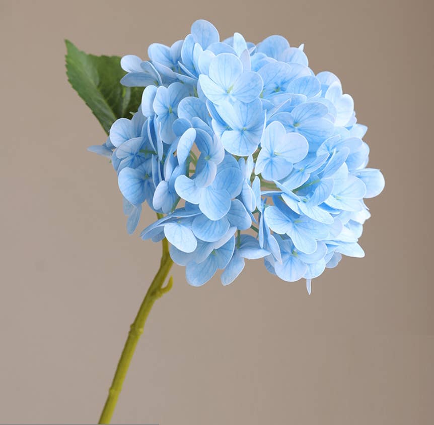 12.5"Real Touch lifelike Hydrangea-6”bloom: Light Green