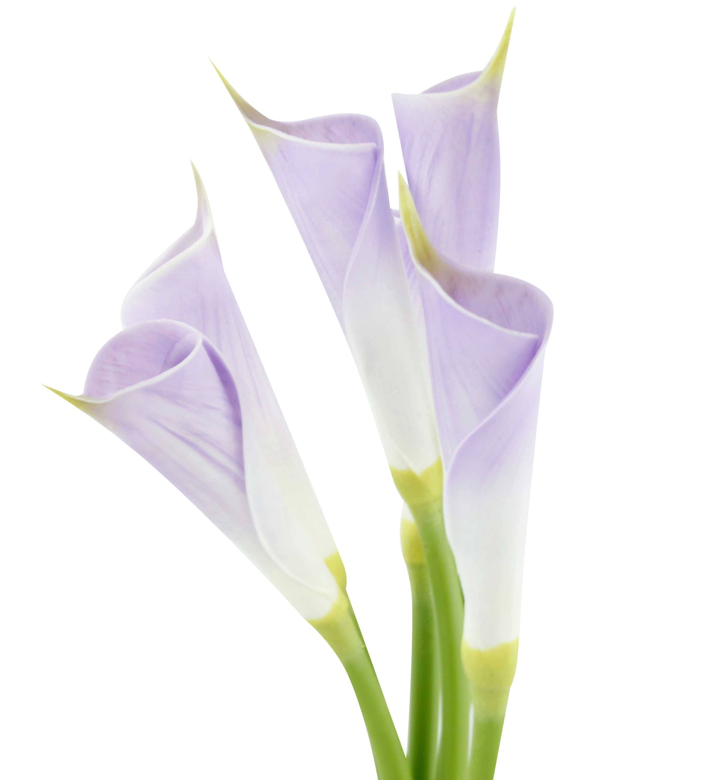 24"Long Premium Lifelike Real Touch Artificial Calla lily: Soft white