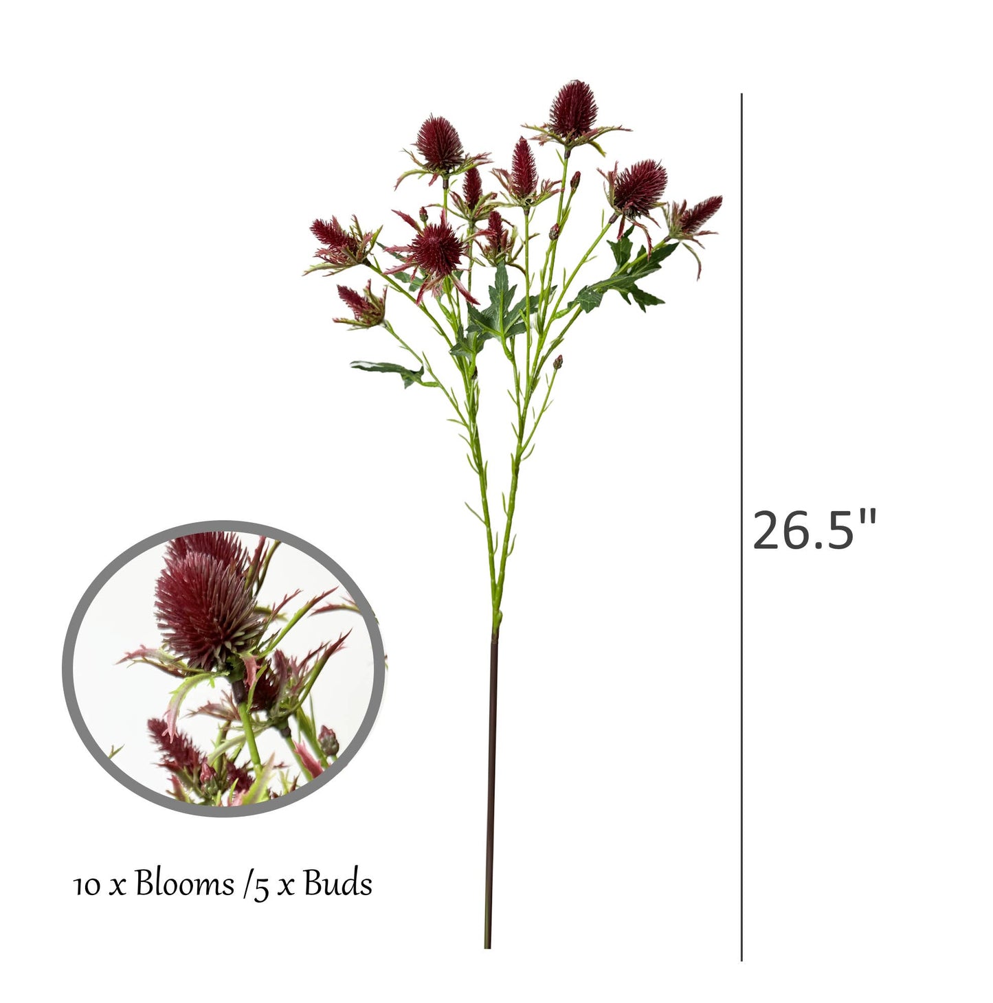26" Artificial Thistle Eryngium Sea Holly-10Flowers : Wine Burgundy