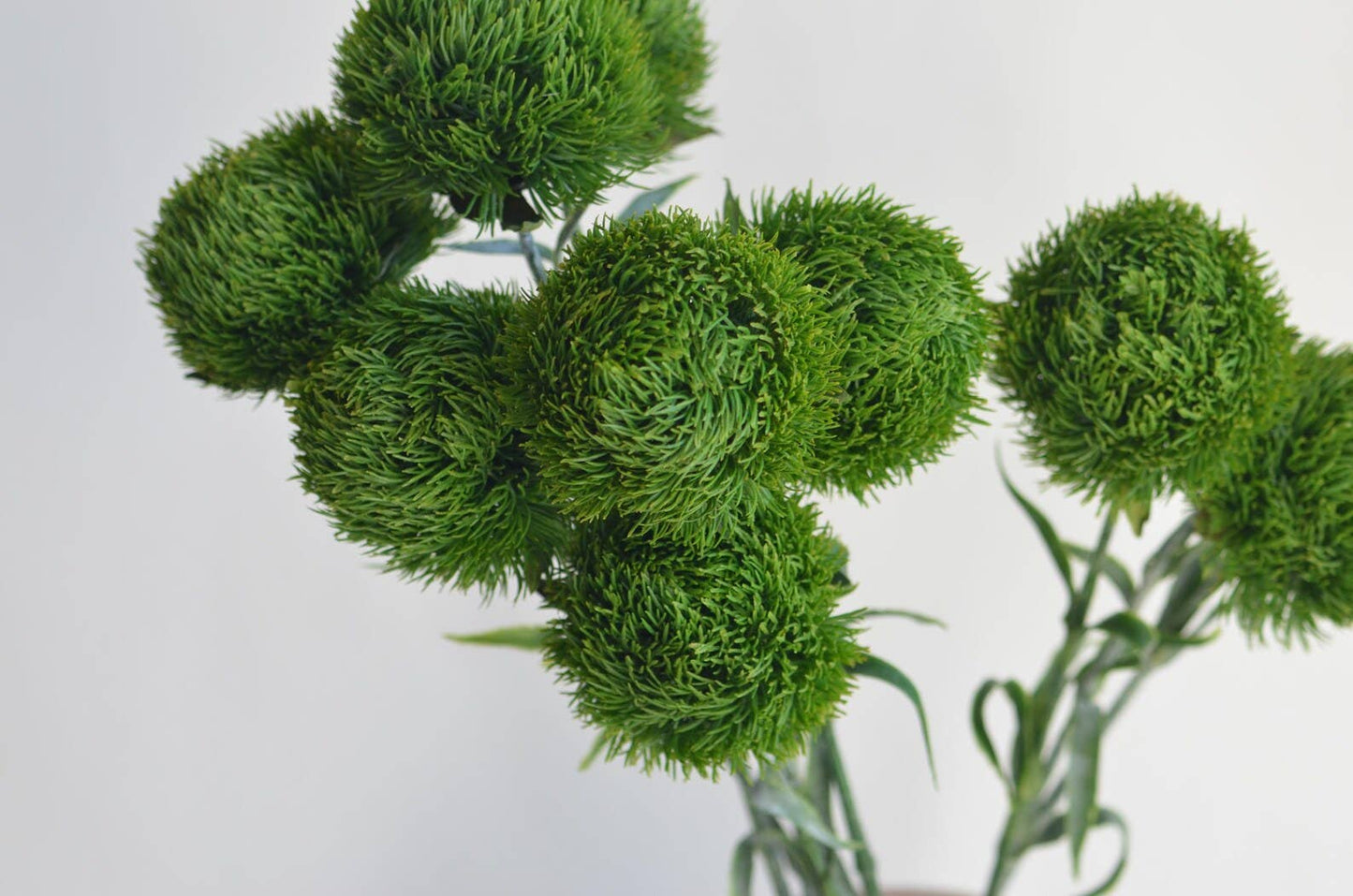 21.5" Realistic Faux Dianthus Green Ball Fresh Green stem: Fresh Green