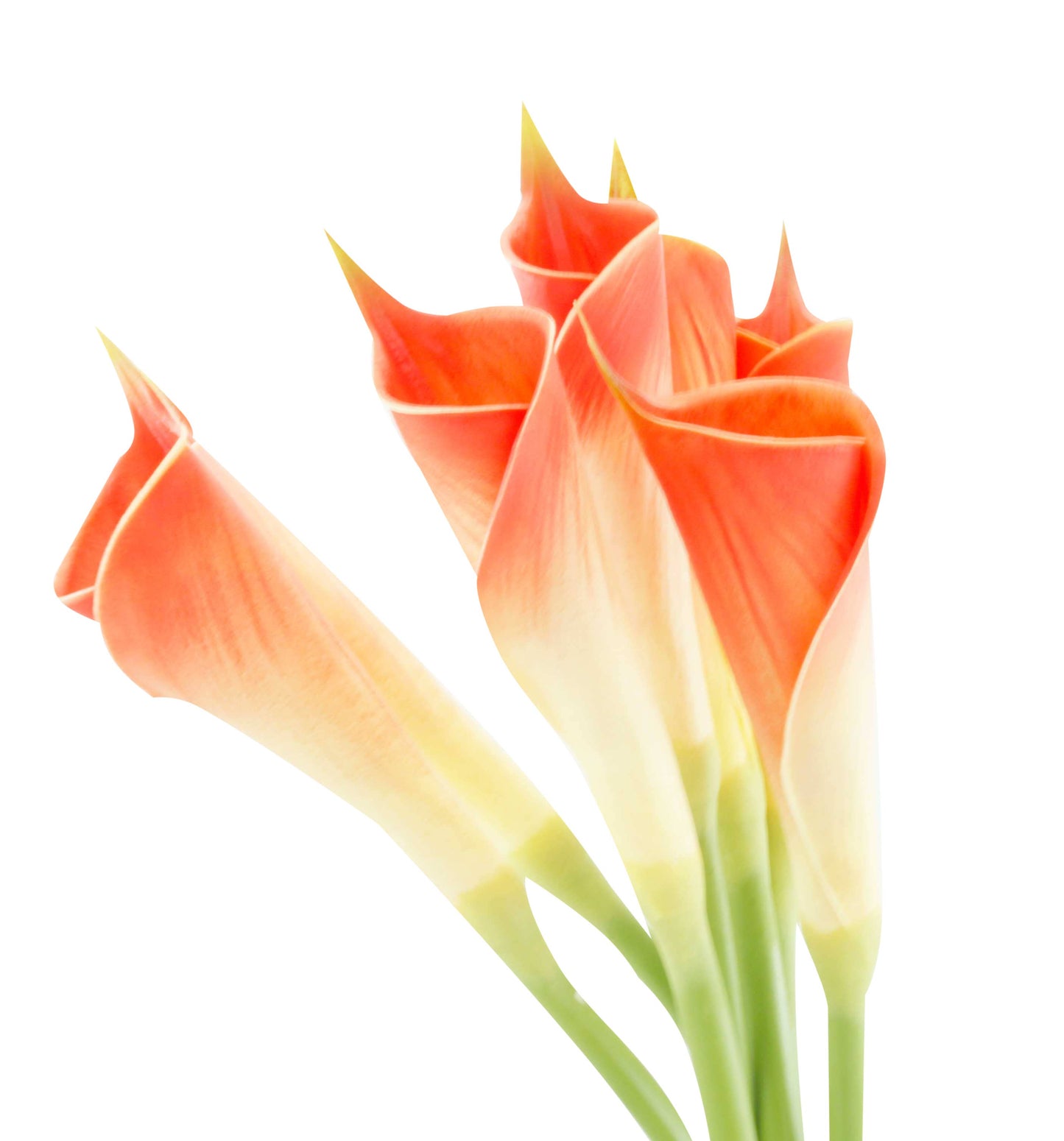 24"Long Premium Lifelike Real Touch Artificial Calla lily: Soft white